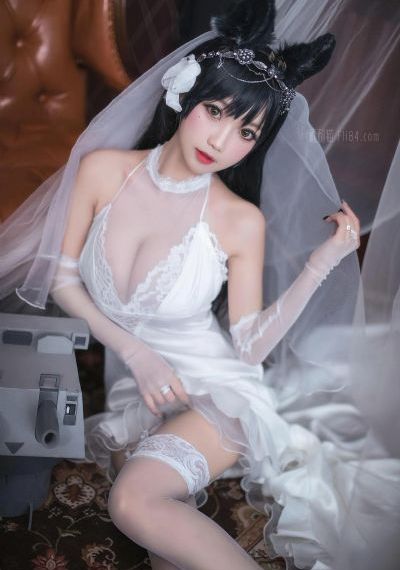 欧美日韩人与动物_BD韩语日韩电影在线