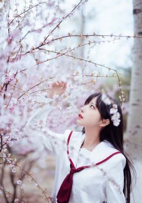 欧美美女电影解说_剧情片电影全集观看